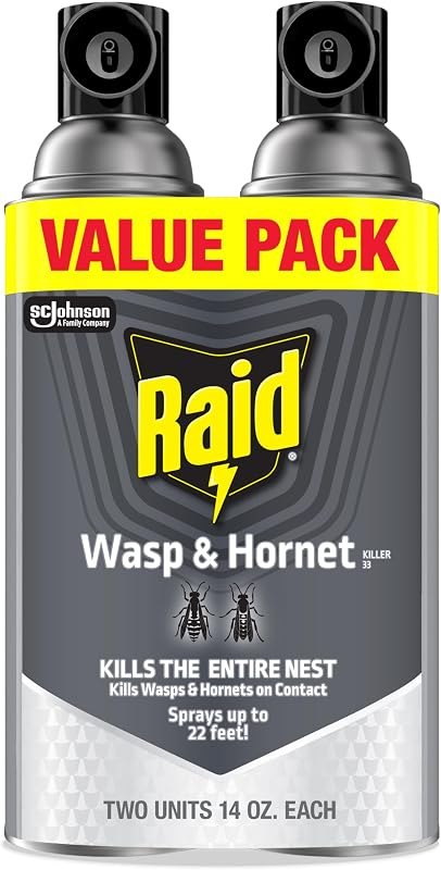 Raid Wasp & Hornet Killer Bug Spray, Kills Entire Nest, 14 oz, 2 Count — hornet spray for yellow jacket trap