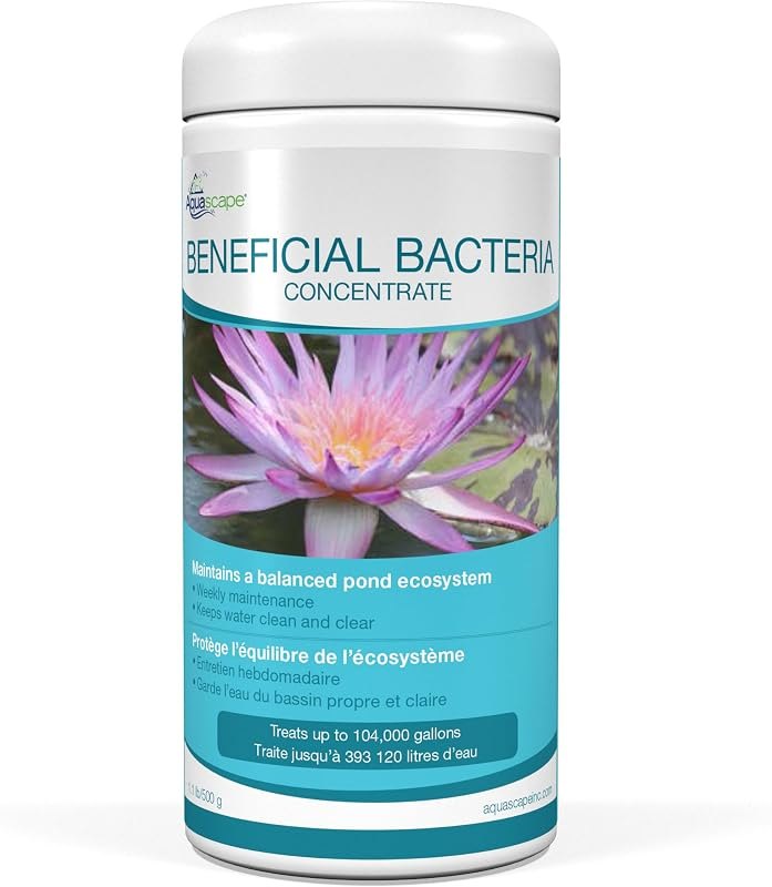 Aquascape Beneficial Bacteria Concentrate for Pond and Water Features, 1.1-Pound, 98949 — pond beneficial bacteria for