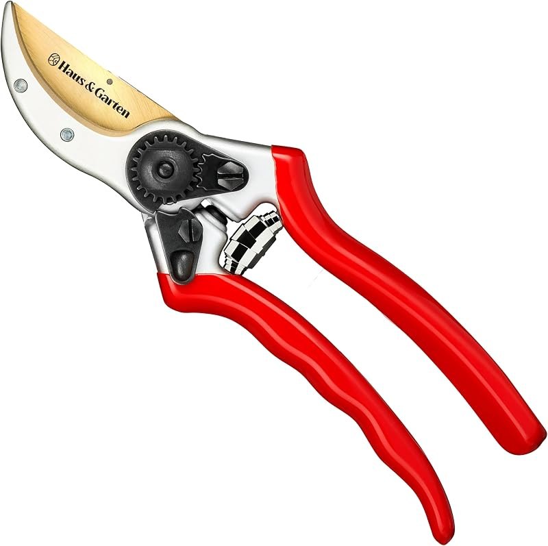Pruners that still cut in October that last more than a season