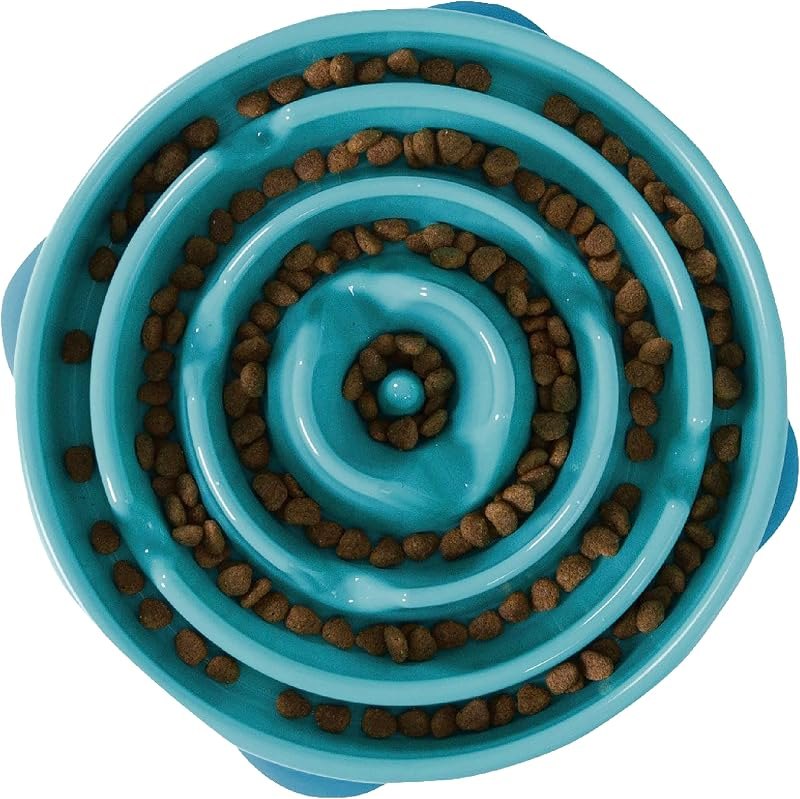 Outward Hound Fun Feeder Slo Bowl — slow feeder for best dog accessories best rated