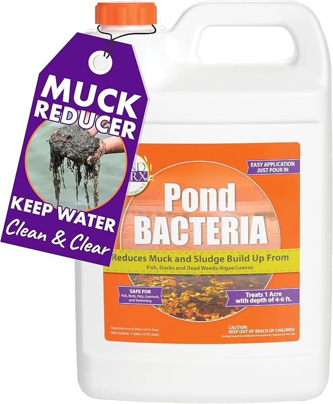 Pond bacteria that actually eat sludge that last more than a season