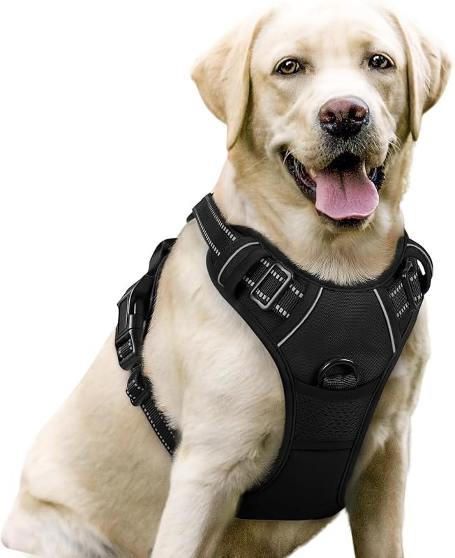 rabbitgoo Dog Harness, No Pull for Large Dogs with 2 Leash Clips, Pet Vest — harness for best dog accessories