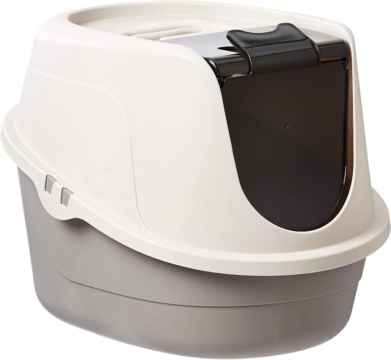 Cat litter setups that do not smell up the house — budget picks