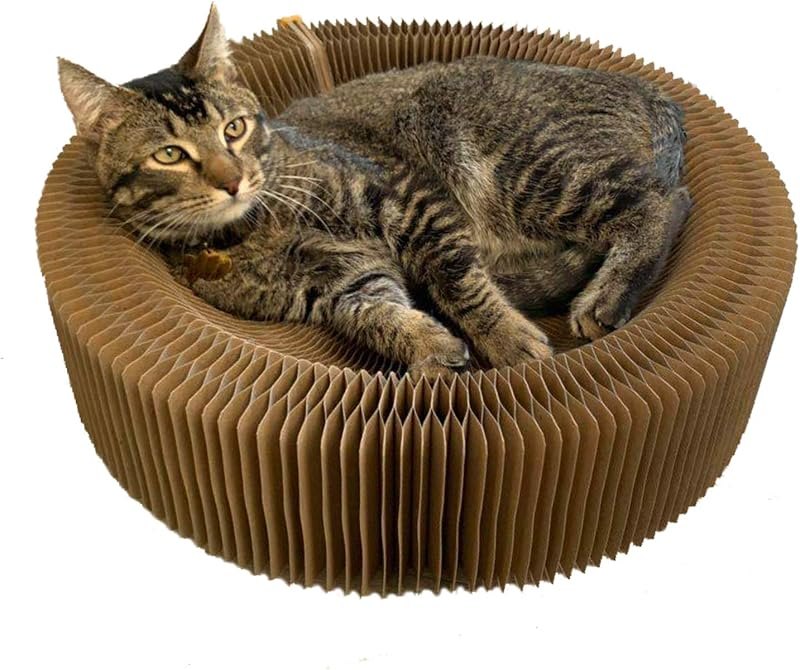 Cat Scratcher Lounge Bed - Collapsible Round Shape for Big Cat, Honeycomb Paper, 20 Inch — scratcher for best cat