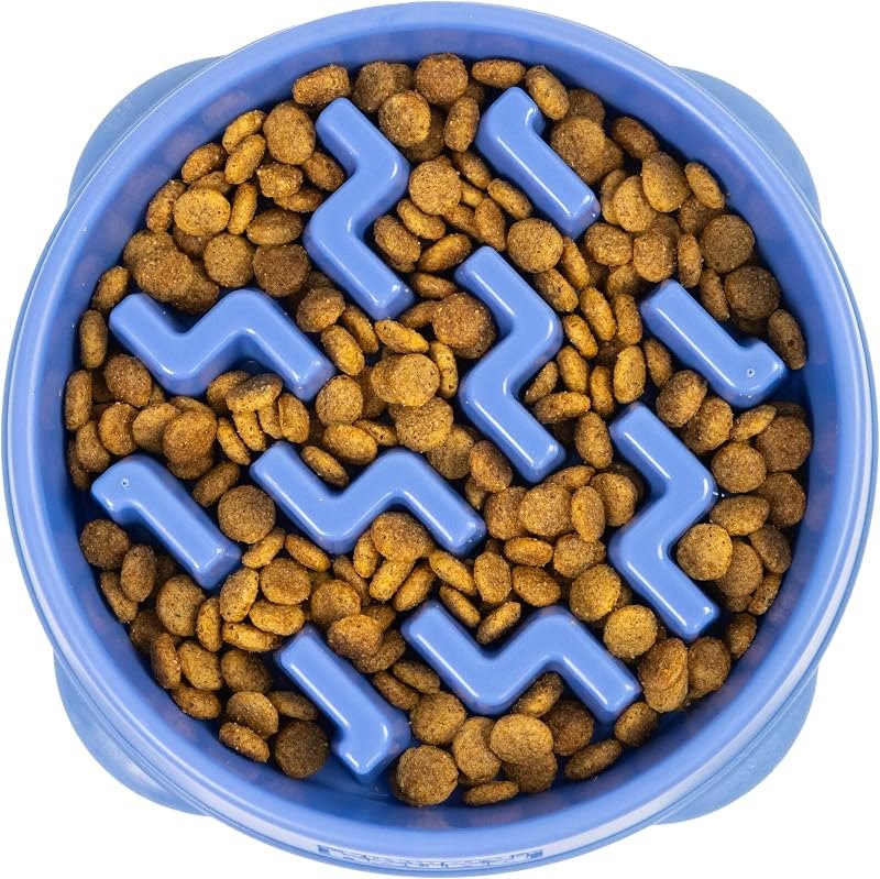 Outward Hound Fun Feeder Slo Bowl — slow feeder for best dog accessories