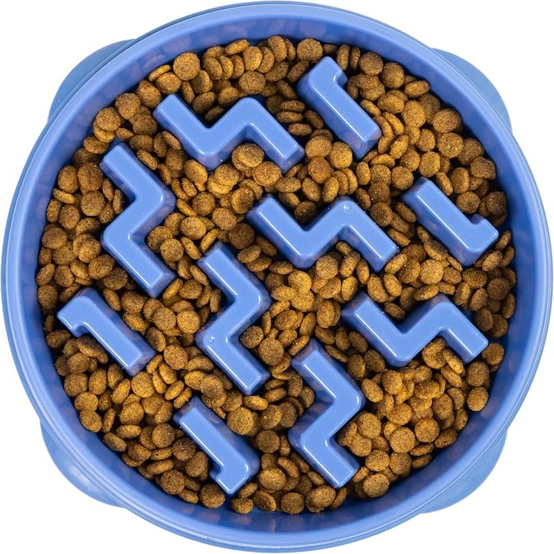 Outward Hound Fun Feeder Slo Bowl — slow feeder for best dog accessories