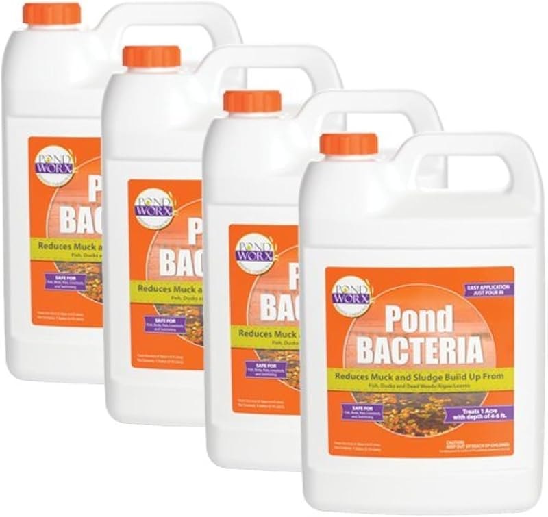 Pondworx Pond Bacteria - Formulated for Water Features and Safe for Koi (4 Gallon Value Pack) — pond beneficial