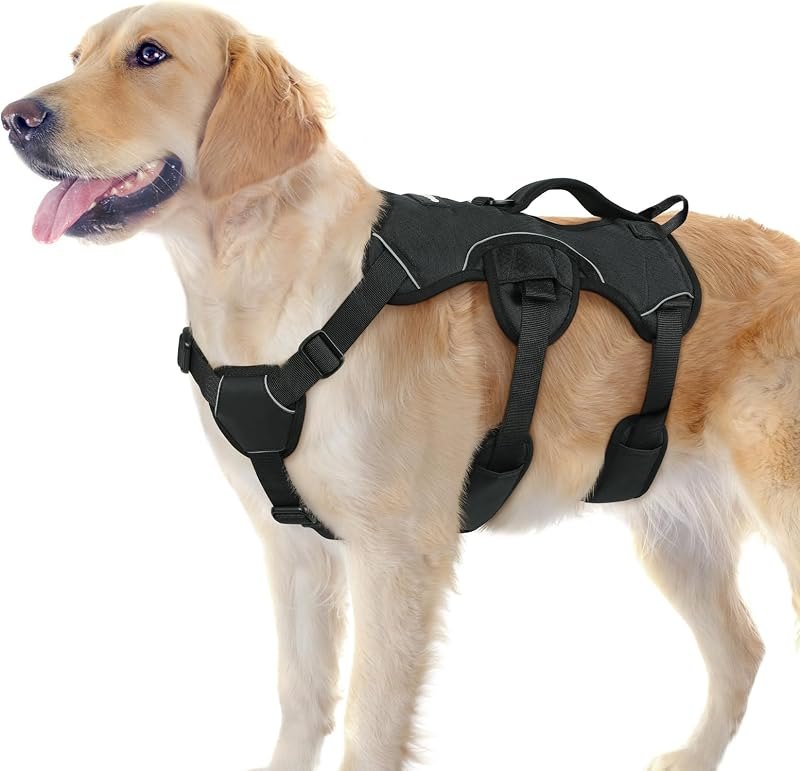 rabbitgoo Escape Proof Dog Harness for Large, No Pull with Lift Handle — harness for best dog accessories under 40