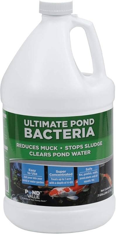 Best pond beneficial bacteria under $30 that still work
