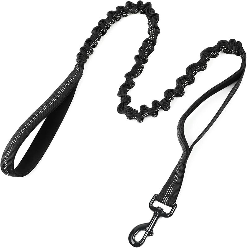 rabbitgoo Tactical Dog Leash, Heavy Duty Training Bungee Lead — leash for best dog accessories under 40