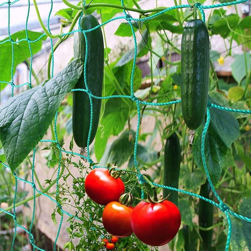 Trellis Netting for Climbing Plants - Heavy Duty Garden Trellis Netting for Cucumber, Vine, Fruits & Vegetables Tomato