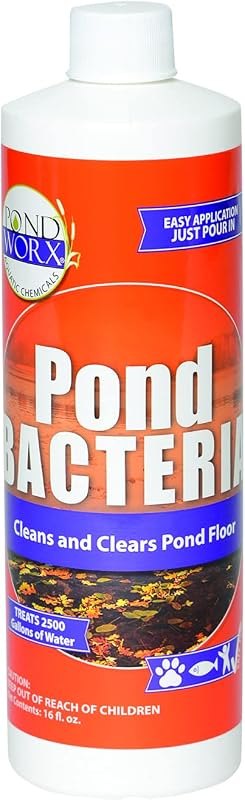 Pondworx Pond Bacteria - Concentrated & Formulated for Water Features - Safe for Koi - 16 Ounces & Treats up to 2,500