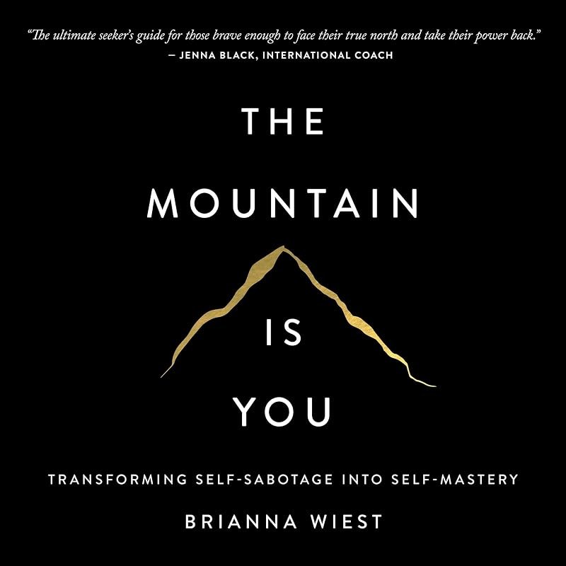 The Mountain Is You: Transforming Self-Sabotage into Self-Mastery — Self help books heavy duty for self help books