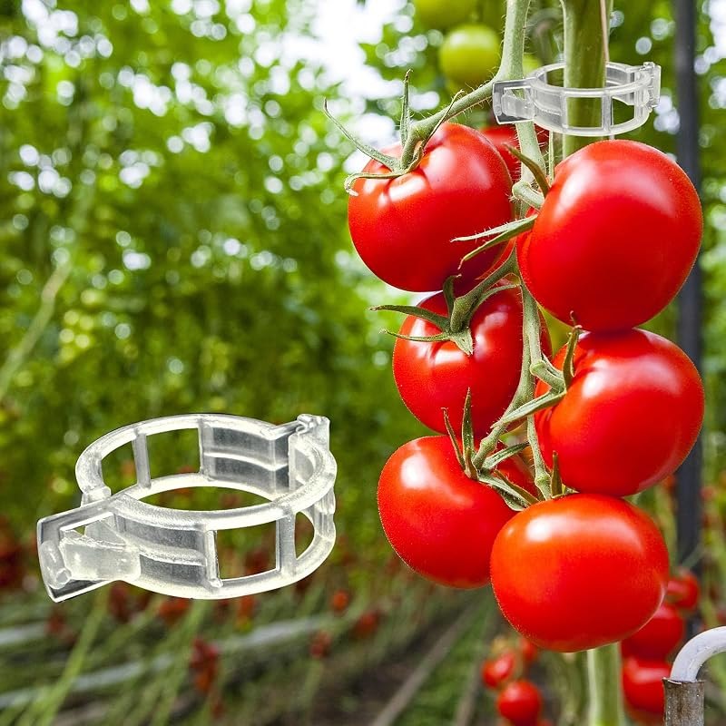 Dalzom® 300Pcs Tomato Clips, Plastic Trellis Clips Plant Support Clips, Plant Clips for Support, Grape Vine, Tomato
