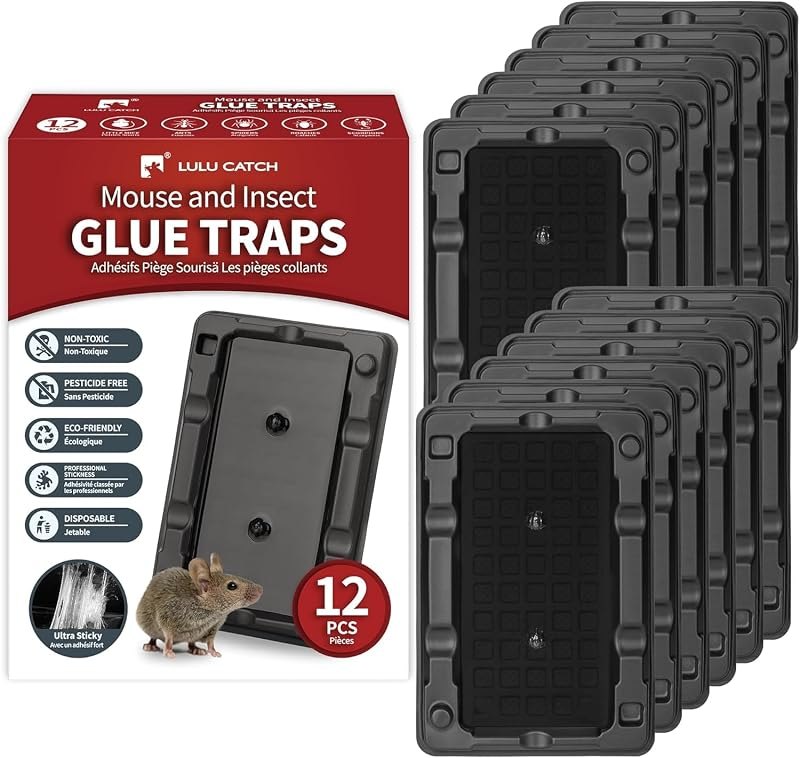 LULUCATCH Mouse & Insect Traps 12 Pack, Heavier Sticky Traps with Non-Toxic Glue for Small Mice & Insects. Sticky