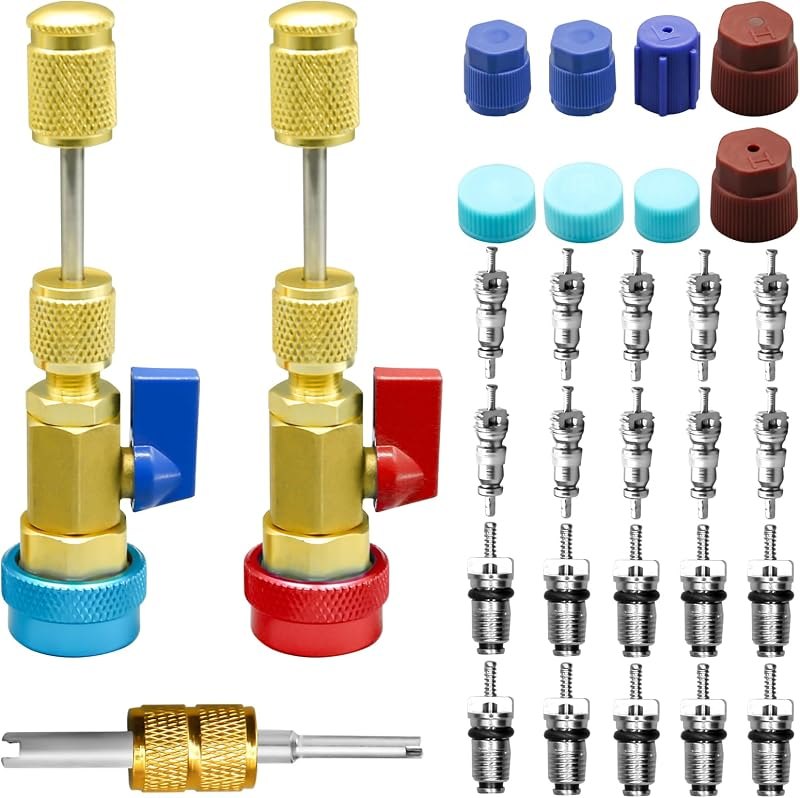 31Pcs R134A Valve Core Quick Remover Installer Tool Set, High Low Pressure AC Valve Core Removal Tool with R134A Valve