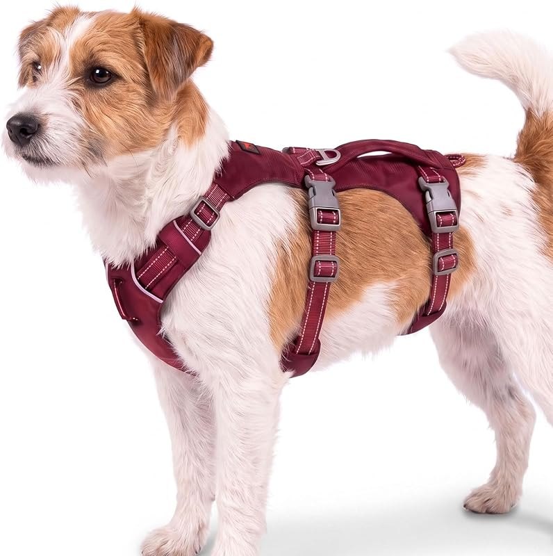 Tuff Pupper Escape Proof Dog Harness for Extra Small Dogs — harness for best dog accessories travel compact
