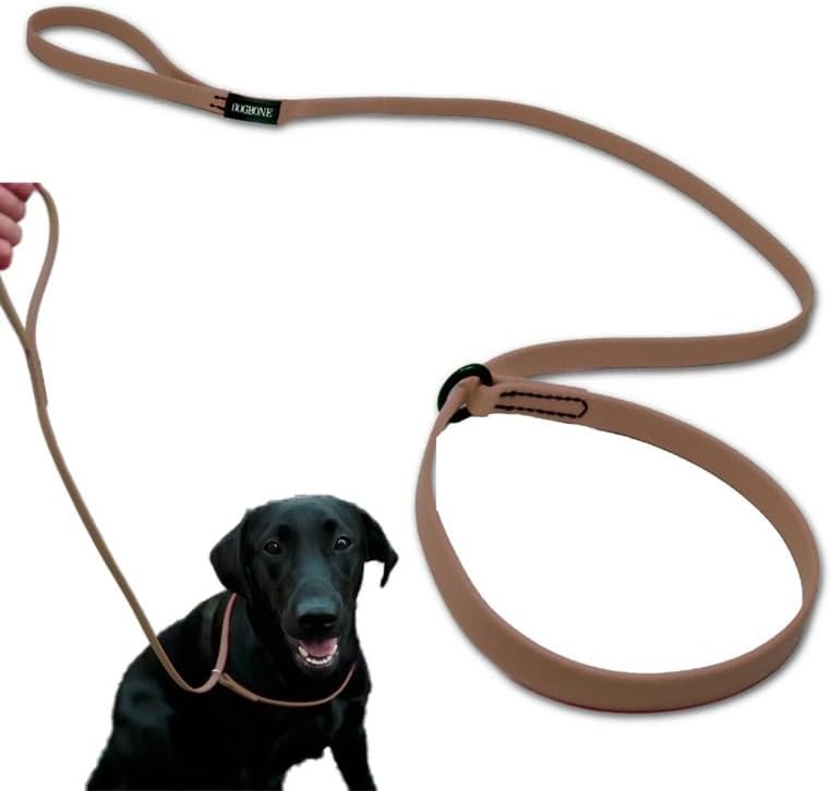 Slip Lead Dog Leash for Small, Medium & Large Dogs & Puppies, No Pull Style — leash for best dog accessories travel