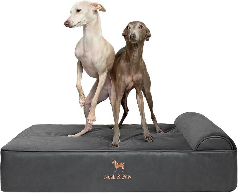 NOAH & PAW Large Dog Bed, 35x25x8.7 Inch, Orthopedic Dog Beds, Eggshell Memory Foam Infused with Cooling Gel, Water