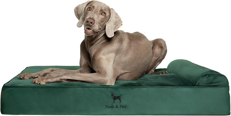 NOAH & PAW XL Dog Bed, 45x35x9.1 Inch, Orthopedic Large Dog Beds, Eggshell Memory Foam Infused with Cooling Gel, Water