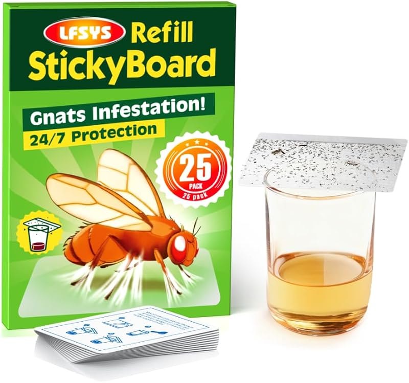 LFSYS Fruit Fly Traps for Indoors — fruit fly trap pack for fruit fly trap under 30 budget