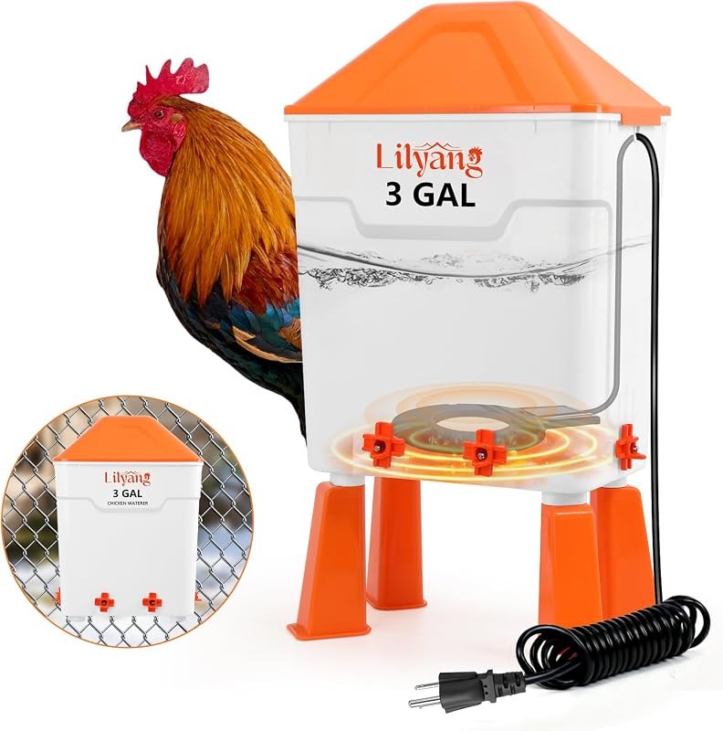 Lilyang Heated Chicken Waterer 3 Gallon, 250W Thermostat Control — Waterers, nest boxes, and safe heat. for waterers