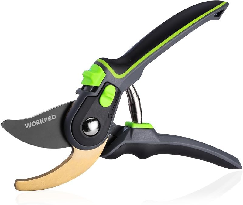 WORKPRO Pruning Shears, Garden Clippers with Titanium Coated, 9" Bypass — bypass pruners no leak for bypass pruners