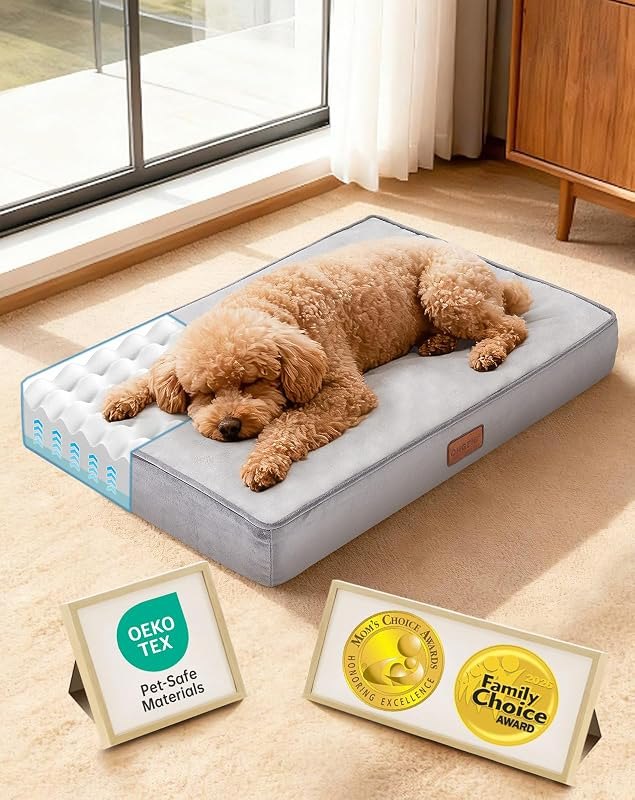 OhGeni Orthopedic Waterproof Small Dog Bed, Memory Foam, 24 inch(Gray) — bed for best dog accessories travel compact