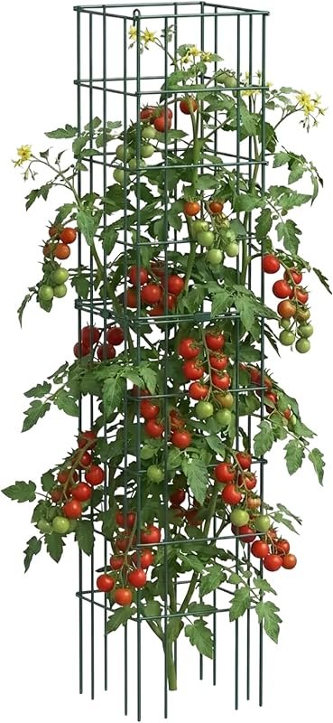 Vego Garden Tomato Cage 16.5" Square Heavy-Duty for Garden & Pots, Rust-Resistant Tomato Stackable Heavy Gauge Plant