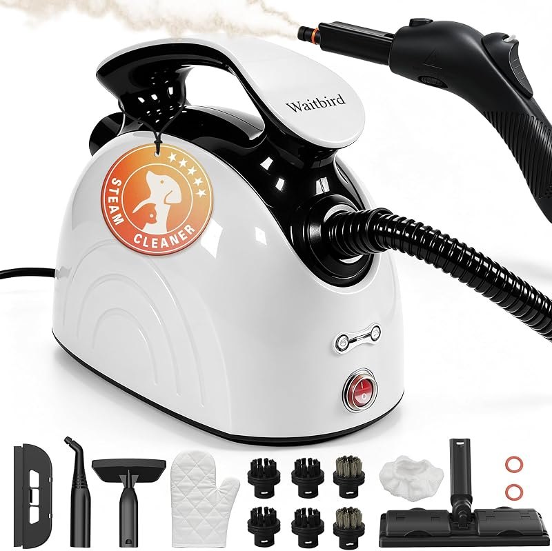 Waitbird 4.5 Bar 300°F Steam Cleaner for Bathroom, Kitchen, Floor & Grout — handheld steam cleaner kit for handheld