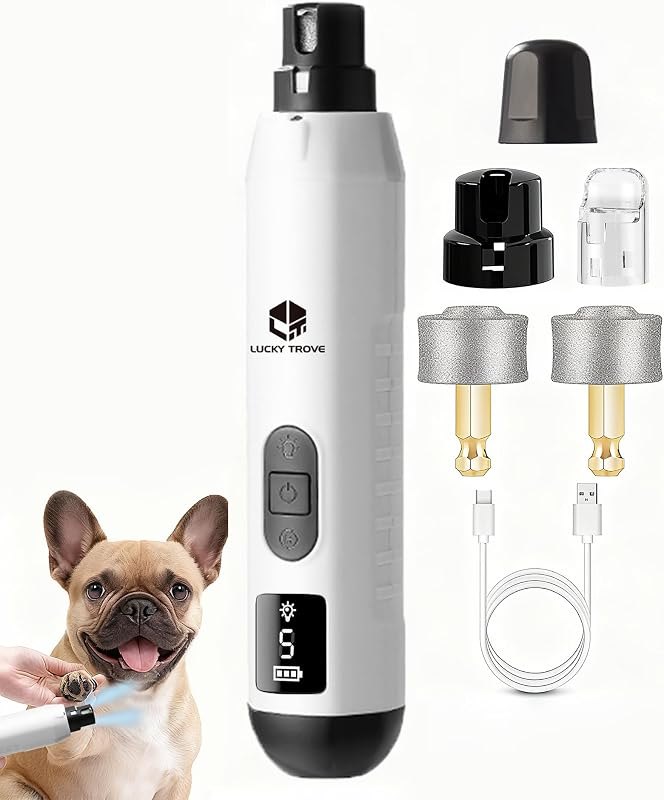 Dog gear you will actually reorder — budget picks