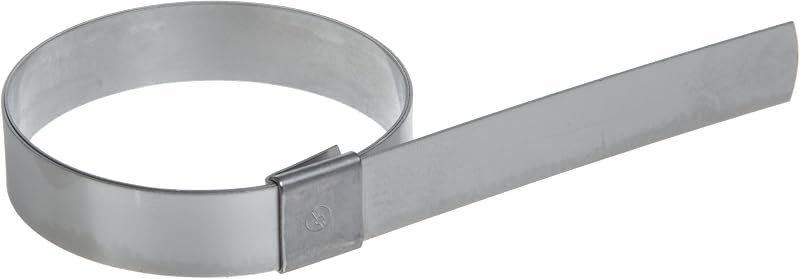 BAND-IT CP10S9 201 SS Center Punch Clamp, 5/8 x .025 in, 2-1/2 in, 50 Count — Clamps, discs, and scrapers. amazon for