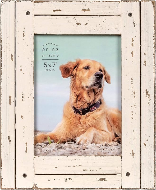 Prinz Homestead 5x7 Antique White Picture Frame, Distressed Finish — Best Products for your homestead for products