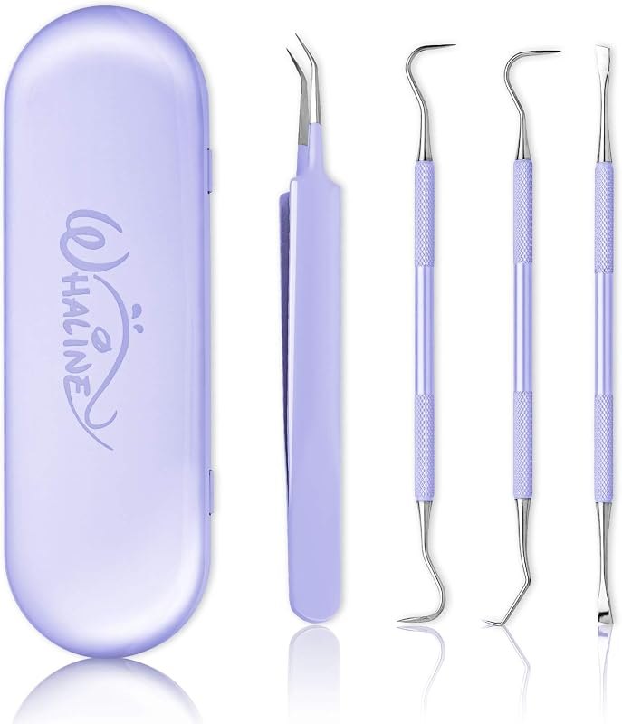 Whaline Vinyl Weeding Tools Set of 4, Precision Stainless Steel Weeder Kit with Case, Includes Scraper, Hook, Spatula