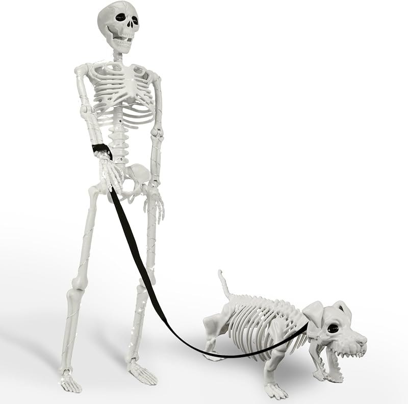 Lighted Human & Dog Skeleton Halloween Decorations Outdoor/Indoor