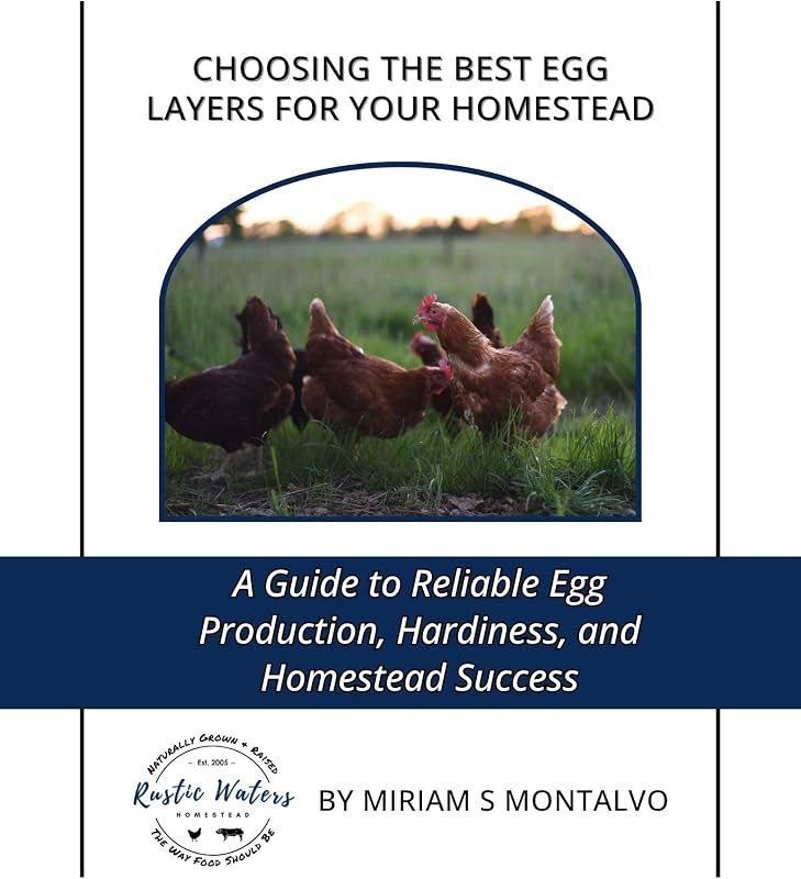 Choosing the Best Egg Layers for Your Homestead: A Guide to Reliable Egg Production, Hardiness, and Homestead Success