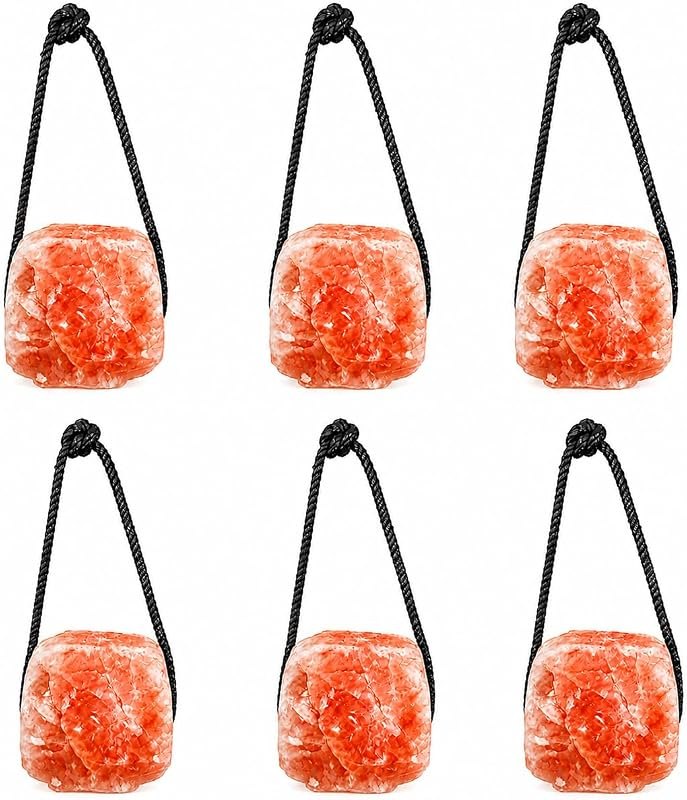POHS Himalayan Salt Lick on Rope 3 lb Each (Pack of 6) for Horses & Livestock — livestock mineral block for goat mineral