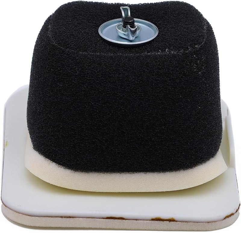 Yamaha TT-R125LE Motorcycle Air Filter, #5HP-14450-00-00