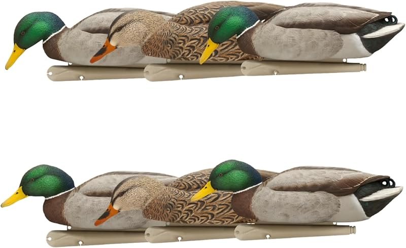 Avian X Topflight Backwater Mallards Duck Decoys Pack, Ultra Realistic Floating Mallard Hunting Decoy, 3 Feeding