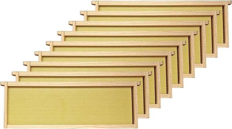 Mann Lake Premium Beekeeping Frames, 6 1/4 Inches, Natural, 10-Pack — top bar hive for top bar hive