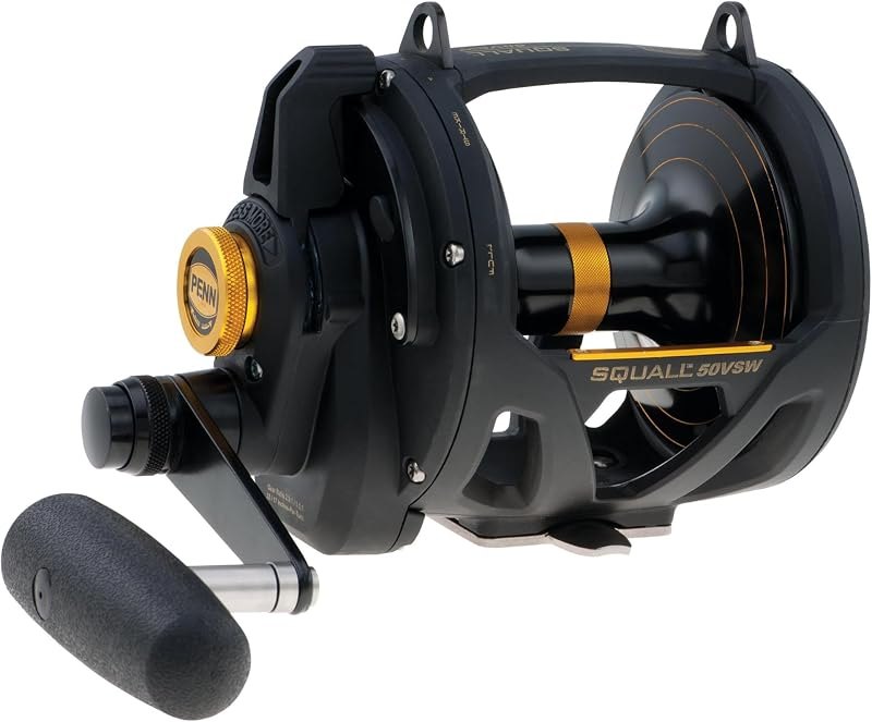 Penn Squall II Lever Drag 2 Speed Conventional Fishing Reel — Deep Sea Fishing Reel for deep sea fishing reel