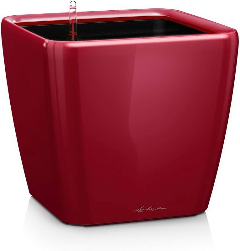 Lechuza Quadro LS 21 Scarlet Red High Gloss, Self-Watering Square Planter, H7.9 L8.3 W8.3 in — self watering planter