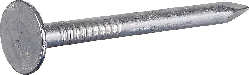 Anchor Wire Electro-Galvanized Roofing Nails for Framing 1" x #11, 100 Pack