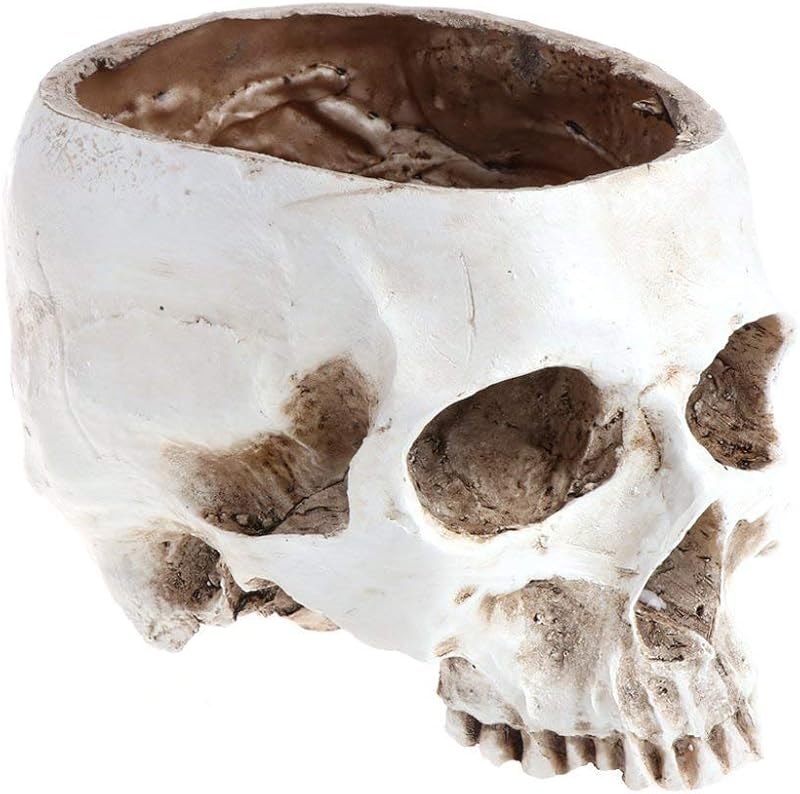 Skull planter , Resin Skull Head Flower Succulent Cactus Planter Pots , Small Object Containers Keys Sugar Candy Bowl