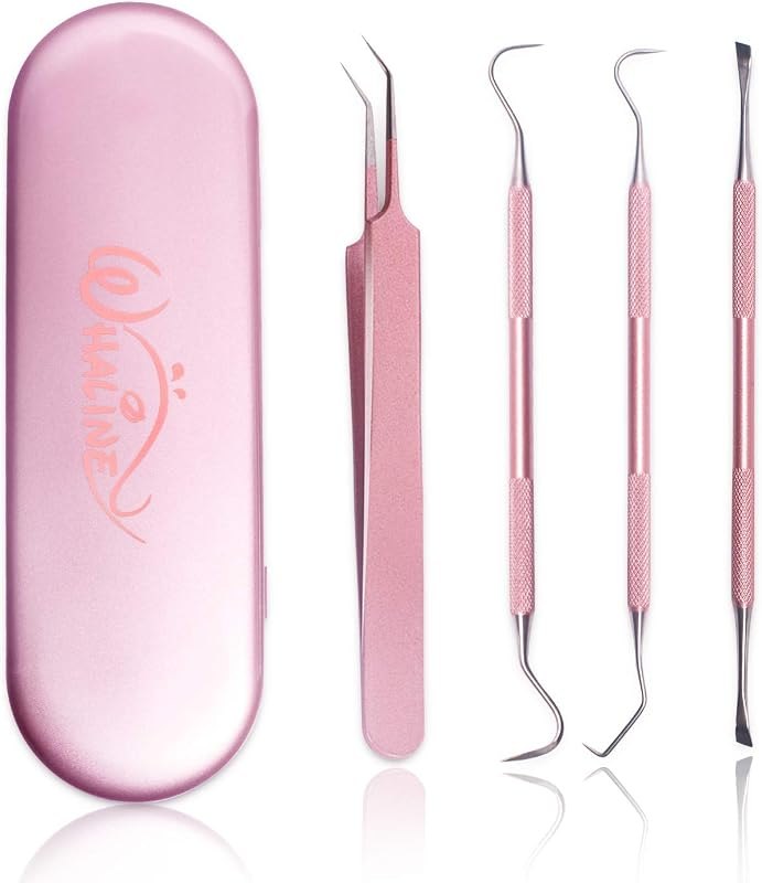 Whaline Vinyl Weeding Tools Set of 4, Precision Stainless Steel Weeder Kit with Case, Includes Scraper, Hook, Spatula