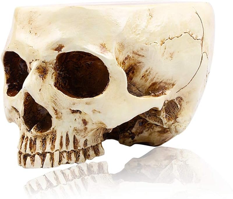 RMM Halloween Decoration Retro Human Skull Head Flower Pot Planter Bed Box Container Replica Home Bar Décor,Clear —