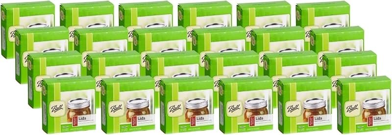 Ball Regular Mouth Lids for Glass Mason Jars, Used for Canning, Pickling, Juice, Jam, Jelly 12-Count, Pack of 24