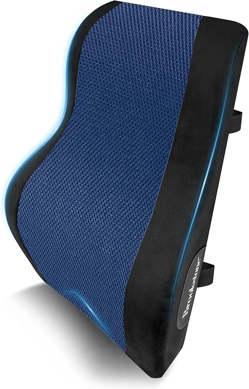 Brookstone BK1172 - Luxurious Back Support Pillow for Office Chairs and Cars, Lumbar Cushion with Premium Grade Memory