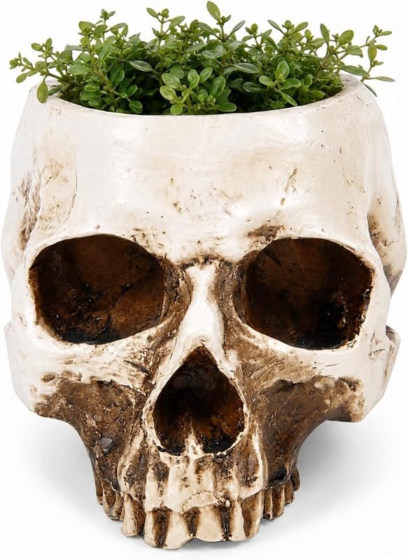 ChezMax Skull Planter Suger Holder Resin Flower Succulents Pot Skeleton Flowerpot Candy Bowl Halloween Dish Statue