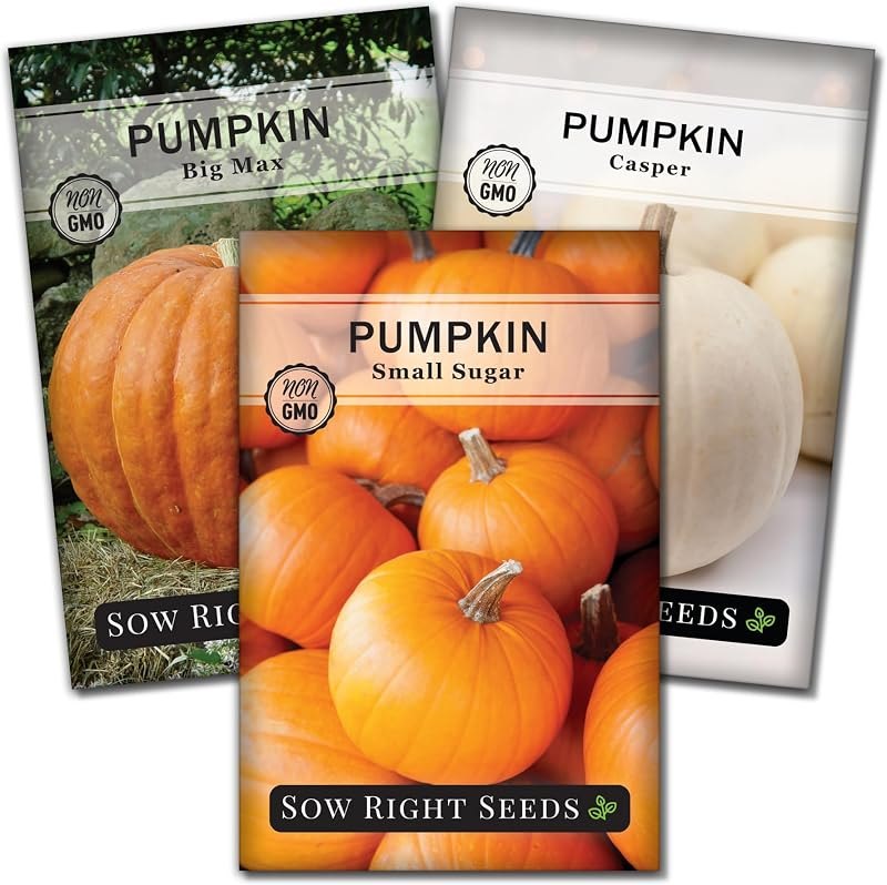 Sow Right Seeds - Classic Pumpkin Seed Collection for Planting Home Garden — Pumpkin Seed Starter Kit for pumpkin seed